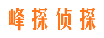 庆安市私家侦探